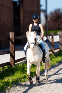 Jack - Étalon Connemara crème de 6 ans - 15/02/2019